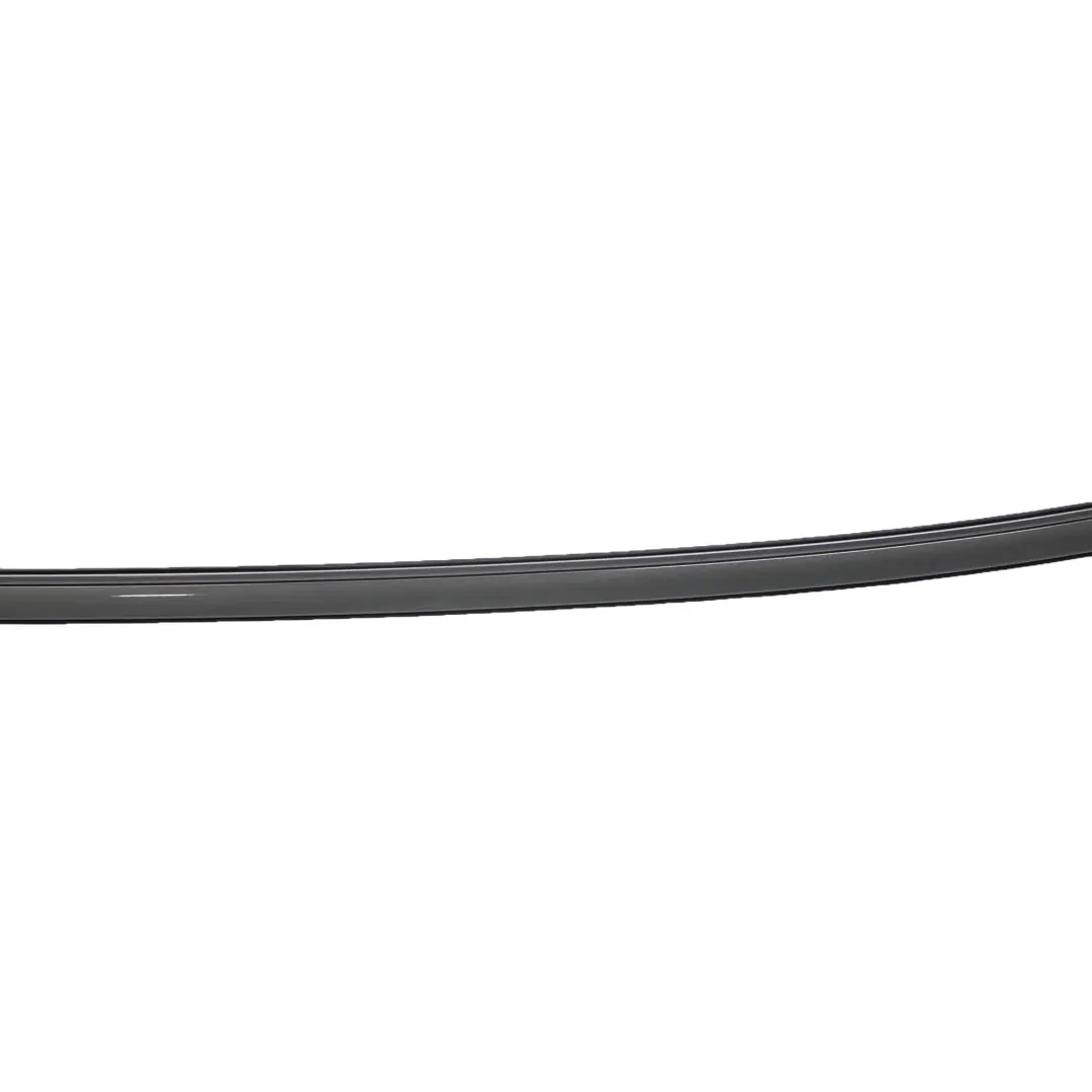 BMW 5 Series E60 Left Roof Moulding Railing Gutter N/S Spacegrau Grey - A52 - SKU 0031141-SCG - Part number 0031141