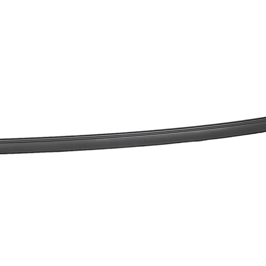 BMW 5 Series E60 Right Roof Moulding Railing Gutter O/S Spacegrau Grey - A52 - SKU 0031142-SCG - Part number 0031141
