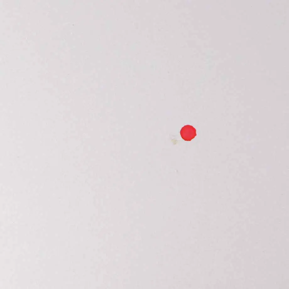 Spoiler arrière Couvercle de coffre Argent 7122799 pour Mini Cooper One R50 à propos du numéro de pièce 0031259 Mini Cooper One R50 Spoiler arrière Couvercle de coffre Argent 7122799 - SKU 0031259-SIL1 - Numéro de pièce 0031259