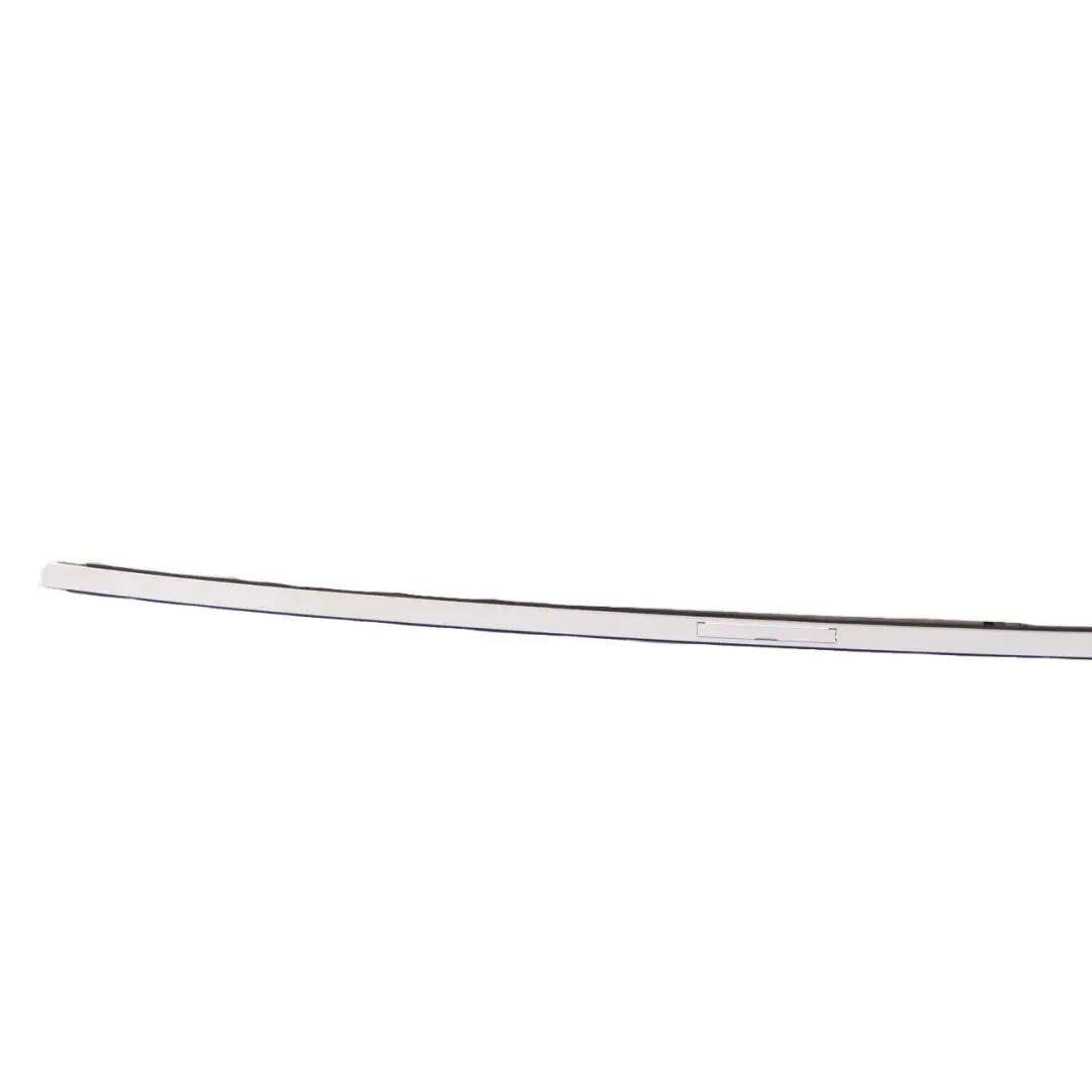 BMW E81 E87 E87N Zierleiste Dach lackiert links Titan Silber - SKU 0032701-TS - Teilenummer 32701