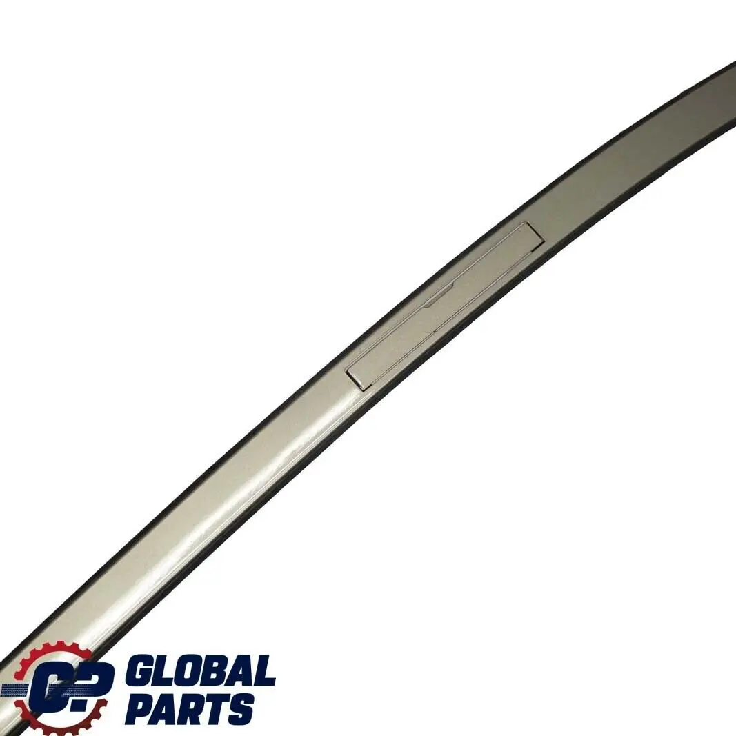 Techo derecho Moldura Barandilla Rail Platinbronze Metallic A53 para BMW E90 con número de pieza 0032752 BMW E90 Techo derecho Moldura Barandilla Rail Platinbronze Metallic A53 - SKU 0032752-PB - Número de pieza 0032752