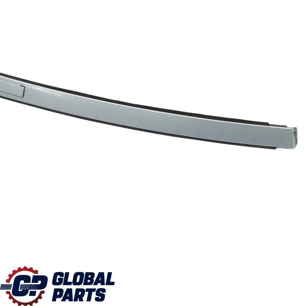 BMW E90 Destra Barre Tetto Modanatura Blu Acqua di Alto Mare - 896 - SKU 0032752-WB - Numero di parte 0032752