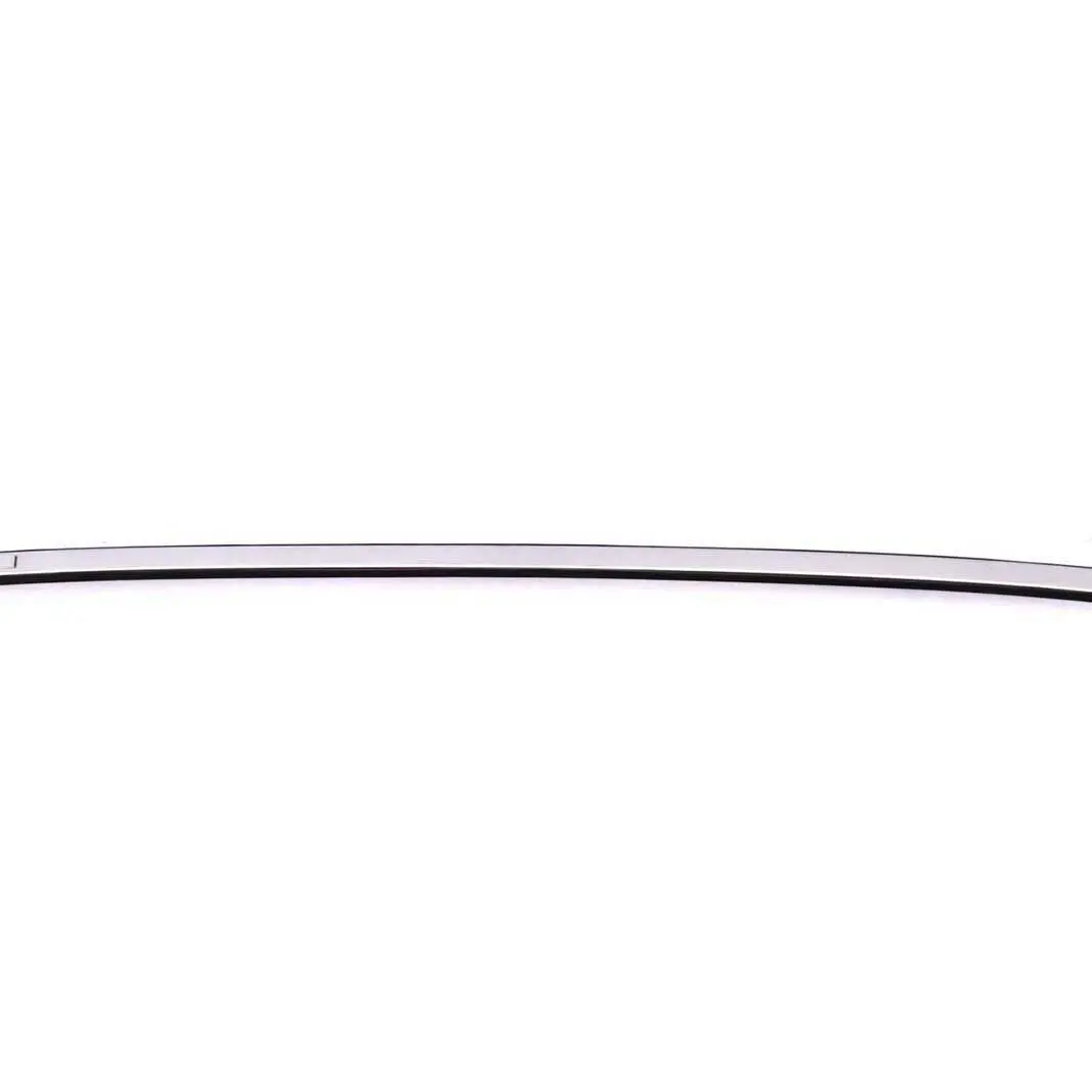 BMW E90 Modanatura Tetto Destra Argento-Titanio Titan Argento - SKU 0032752-TS - Numero di parte 0032752