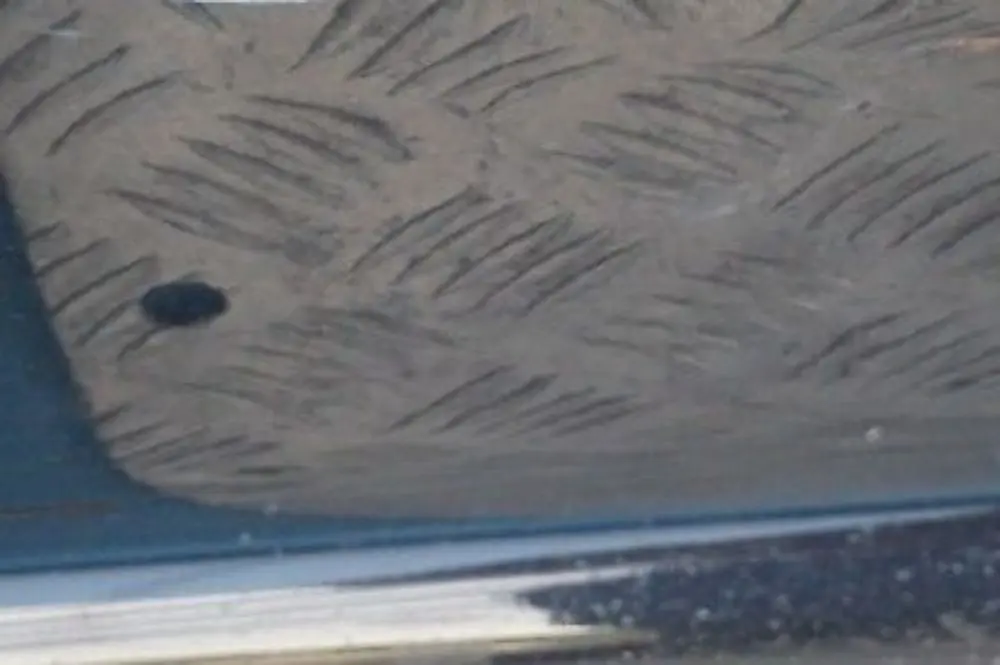 Bas de Porte Couverture Seuil Droite Noir Carbone Metallique 416 pour BMW 3 E90 E91 à propos du numéro de pièce 0032950 BMW 3 E90 E91 Bas de Porte Couverture Seuil Droite Noir Carbone Metallique 416 - SKU 0032950-CAR2 - Numéro de pièce 0032950