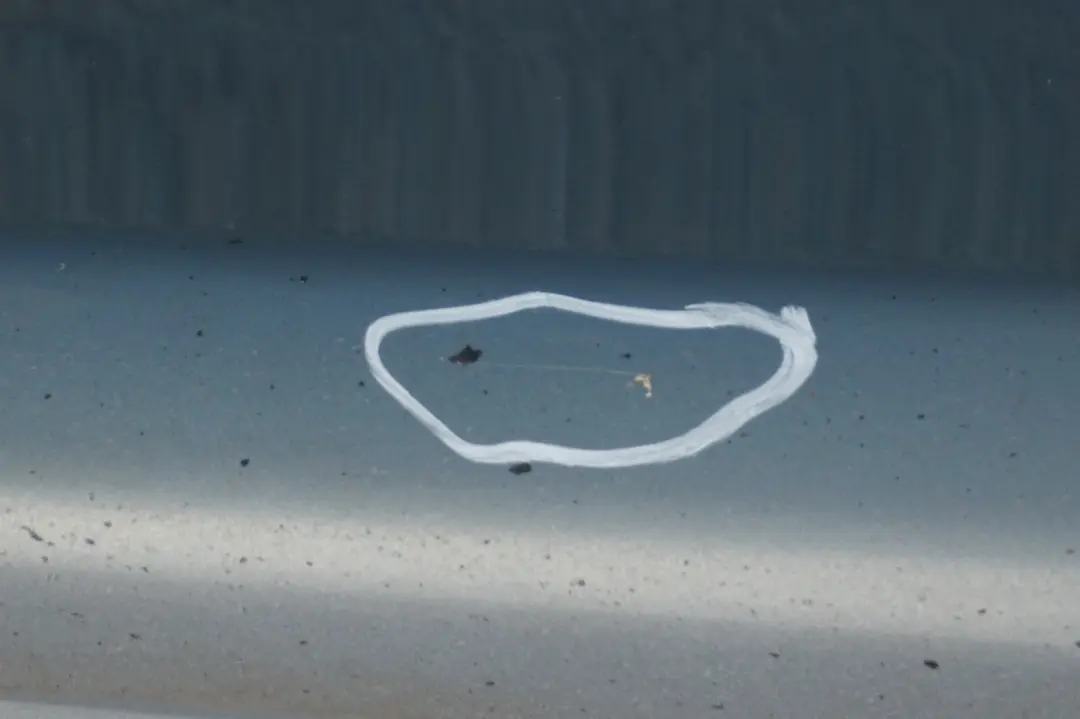 Sill Strip Faldón Lateral Izquierdo Arktis Metálico - A34 para BMW Serie 3 9 E90 E91 con número de pieza 0032951 BMW Serie 3 9 E90 E91 Sill Strip Faldón Lateral Izquierdo Arktis Metálico - A34 - SKU 0032951-AM9 - Número de pieza 0032951