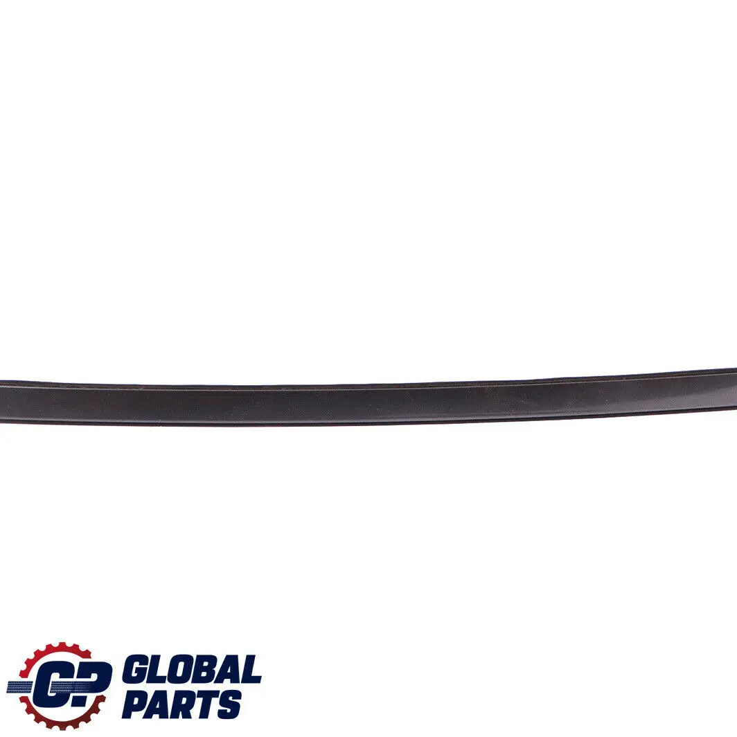 Zierleiste Dach links Sparkling Graphite 5113 für BMW 3 er E92 mit Teilenummer 0033795 BMW 3 er E92 Zierleiste Dach links Sparkling Graphite 5113 - SKU 0033795-SG - Teilenummer 0033795