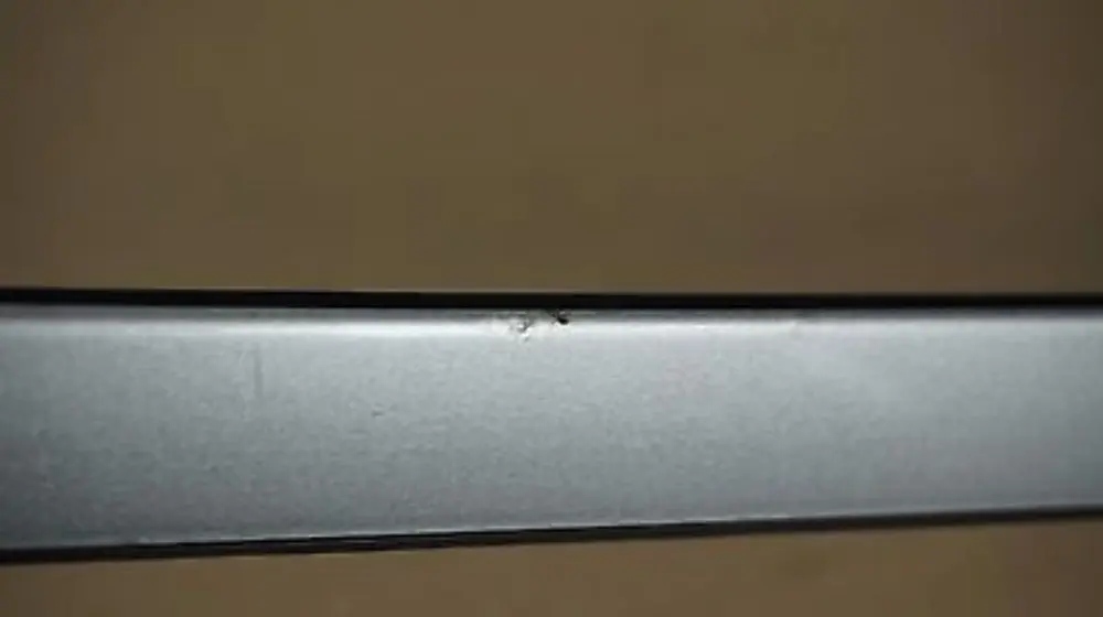 Acqua Cattura BAR Frontale SX Argento-Titanio Argento 0034043 per BMW E90 E91 con numero di parte BMW E90 E91 Acqua Cattura BAR Frontale SX Argento-Titanio Argento 0034043 - SKU 0034044-TS1 - Numero di parte