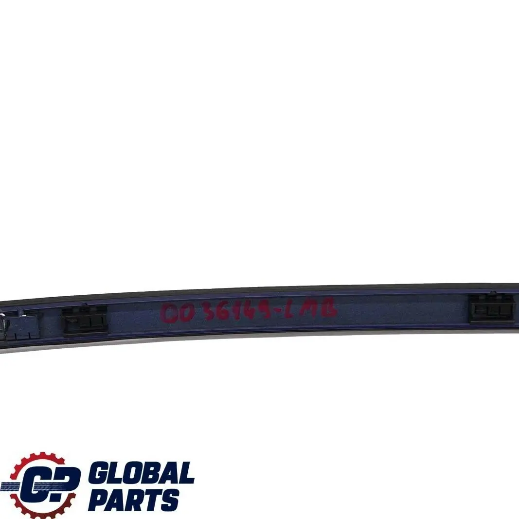BMW 1 Series E82 Left N/S Roof Moulding Railing Gutter Trim Le Mans Blau Blue - SKU 0036149-LMB - Part number 0036149