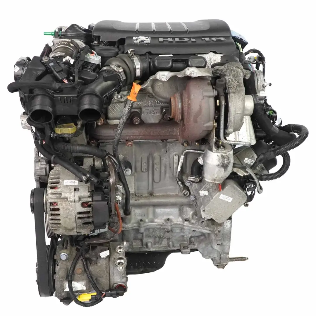 Peugeot 307 1.6 HDi Motor Completo Diesel 9HZ DV6TED4 con 109 000 km, GARANTÍA - SKU 0135GL-1 - Número de pieza 0135GL