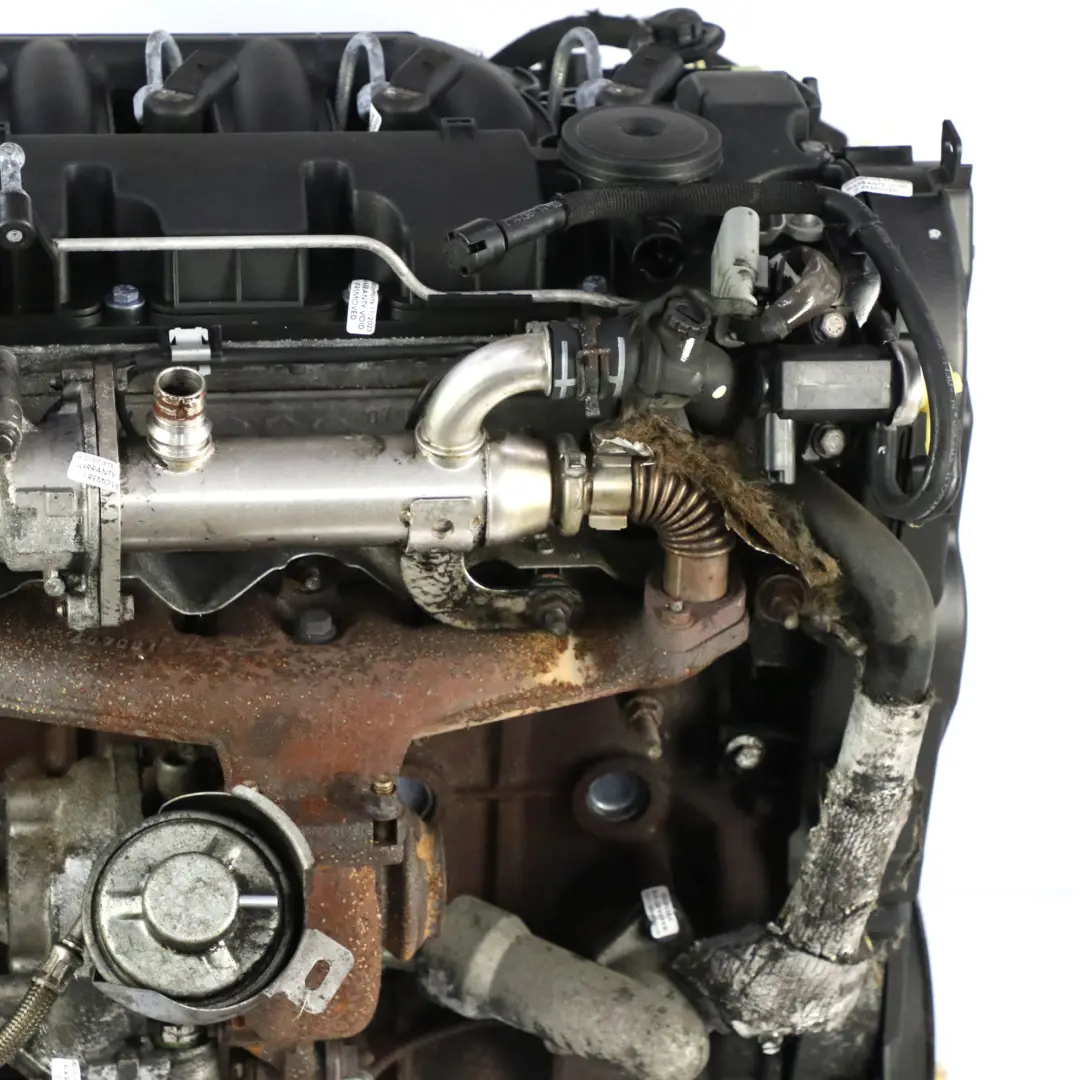 Citroen Jumpy 2.0 HDi Nackter Motor RHK DW10UTED4 120PS GARANTIE für Peugeot Expert mit Teilenummer 0135KV Peugeot Expert Citroen Jumpy 2.0 HDi Nackter Motor RHK DW10UTED4 120PS GARANTIE - SKU 0135KV - Teilenummer 0135KV