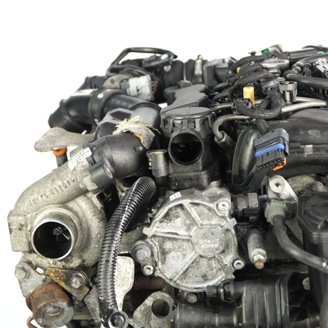  Citroen Berlingo Peugeot Partner 1.6 HDi Kompletter Motor 9H03 9HT GARANTIE - SKU 0135PN-1 - Teilenummer 0135PN