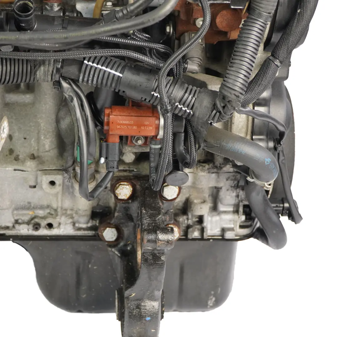 Citroen Berlingo Peugeot Partner 1.6 HDi Kompletter Motor 9H03 9HT GARANTIE für mit Teilenummer 0135PN Citroen Berlingo Peugeot Partner 1.6 HDi Kompletter Motor 9H03 9HT GARANTIE - SKU 0135PN-1 - Teilenummer 0135PN