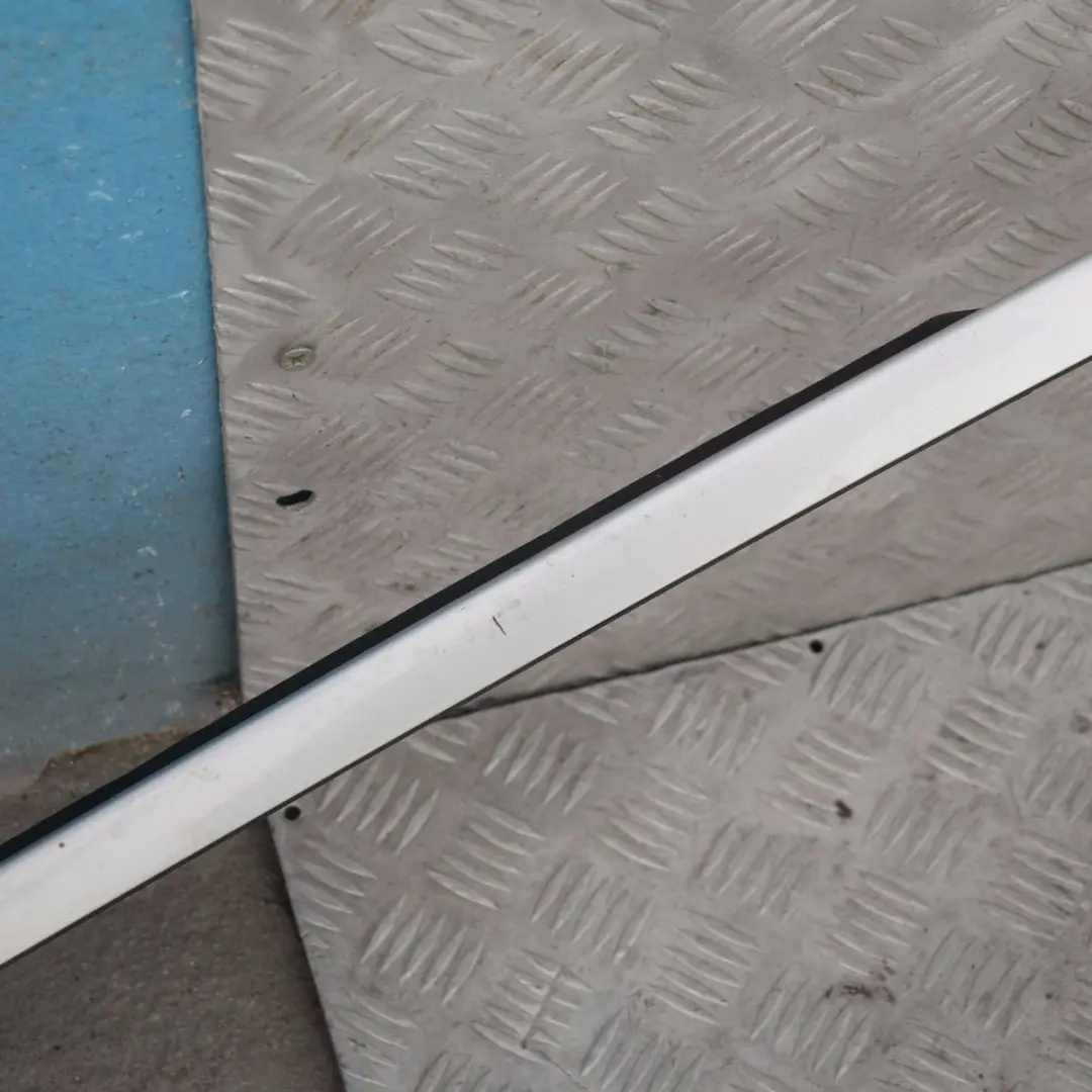 BMW 7 Series E65 Front Right O/S Roof Moulding Gutter Trim Titansilber Silver - SKU 0139573 - Part number 139573