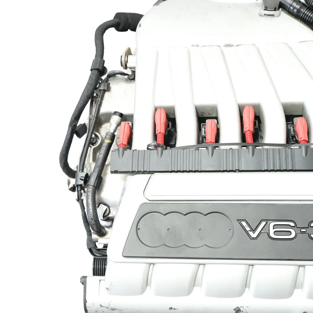 Mk5 3.2 Quattro Moteur Complet BUB 250CV 159k, GARANTIE pour Audi A3 8P TT 8J VW Golf à propos du numéro de pièce 022100036F Audi A3 8P TT 8J VW Golf Mk5 3.2 Quattro Moteur Complet BUB 250CV 159k, GARANTIE - SKU 022100036F-1 - Numéro de pièce 022100036F