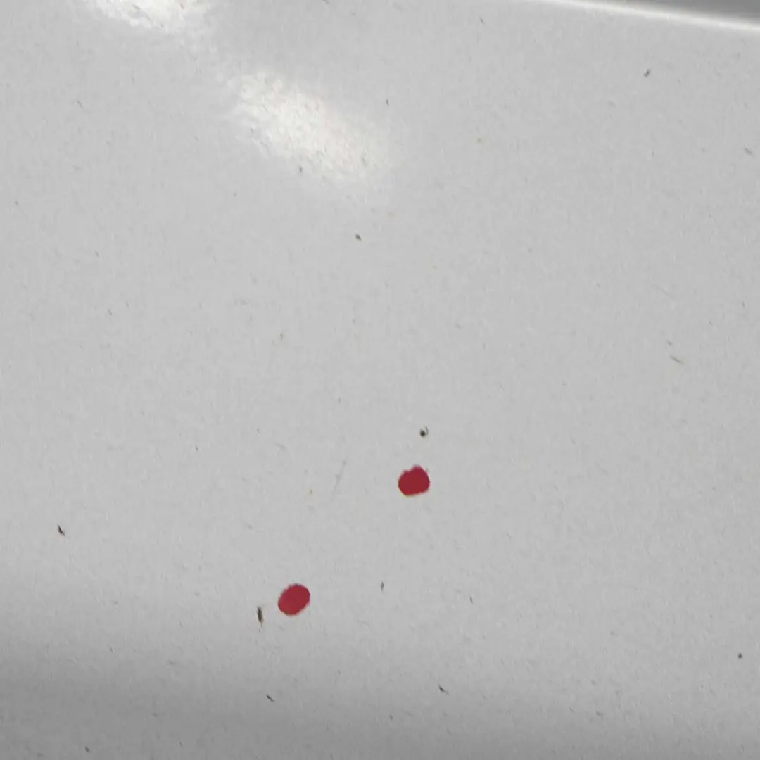 BMW E63 E64 Bas de porte jupe latérale droite Titansilber Titan Silver - 354 - SKU 0304948-TS2 - Numéro de pièce 0304948