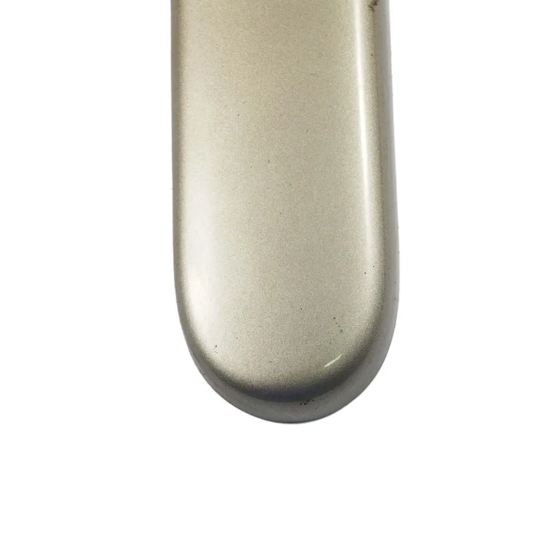 Coperchio Baule Cerniera Sinistra Argento Brillante A60 per Mini Cooper R52 Cabrio con numero di parte 0390077 Mini Cooper R52 Cabrio Coperchio Baule Cerniera Sinistra Argento Brillante A60 - SKU 0390077-SS - Numero di parte 0390077