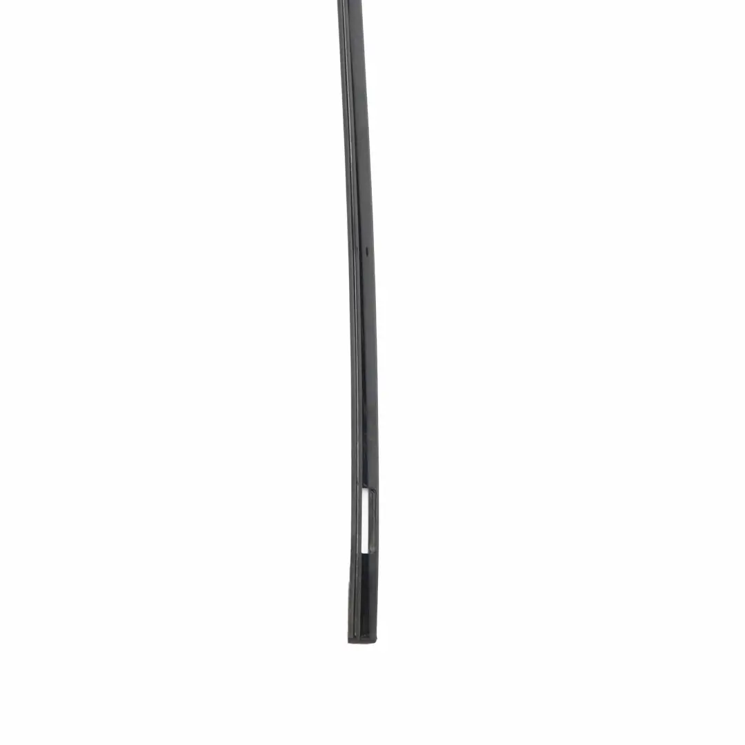  Modanatura tetto BMW E61 Touring sinistra Carbonschwarz Nero Metallizzato - 416 - SKU 0390346-CAR - Numero di parte 0390346