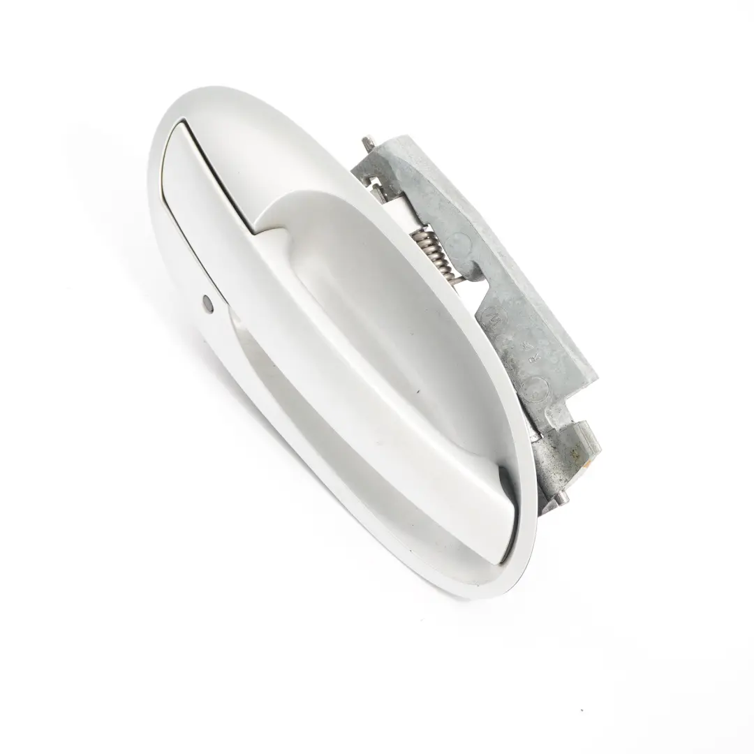  Haltegriff BMW E65 E66 Tür hinten rechts Titansilber Metallic - 354 - SKU 0391091-TS - Teilenummer 0391091