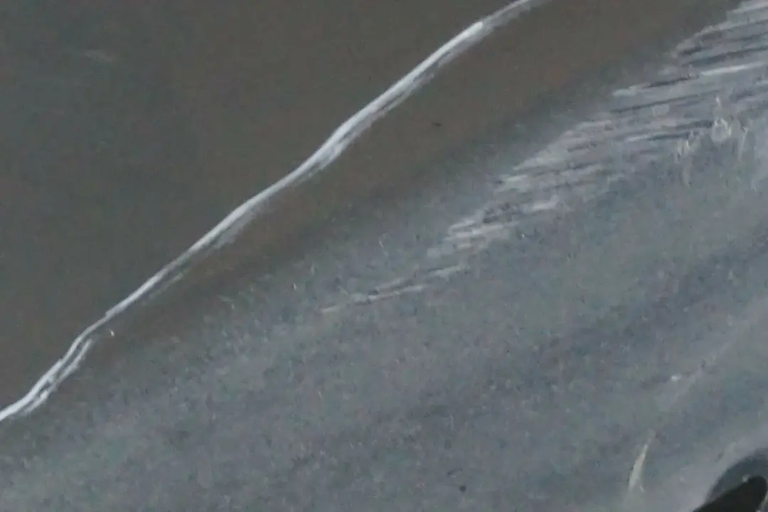 Listello Esterno Portiera Apertura Destra Grigio Titanio A36 per BMW E65 con numero di parte 0395482 BMW E65 Listello Esterno Portiera Apertura Destra Grigio Titanio A36 - SKU 0395482-TGR - Numero di parte 0395482