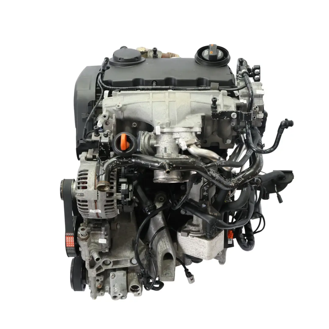 Silnik Kompletny BRD 2.0 TDI Diesel 170KM do Audi A4 B7 o numerze 03G100033K Audi A4 B7 Silnik Kompletny BRD 2.0 TDI Diesel 170KM - SKU 03G100033K-1 - Numer Części 03G100033K