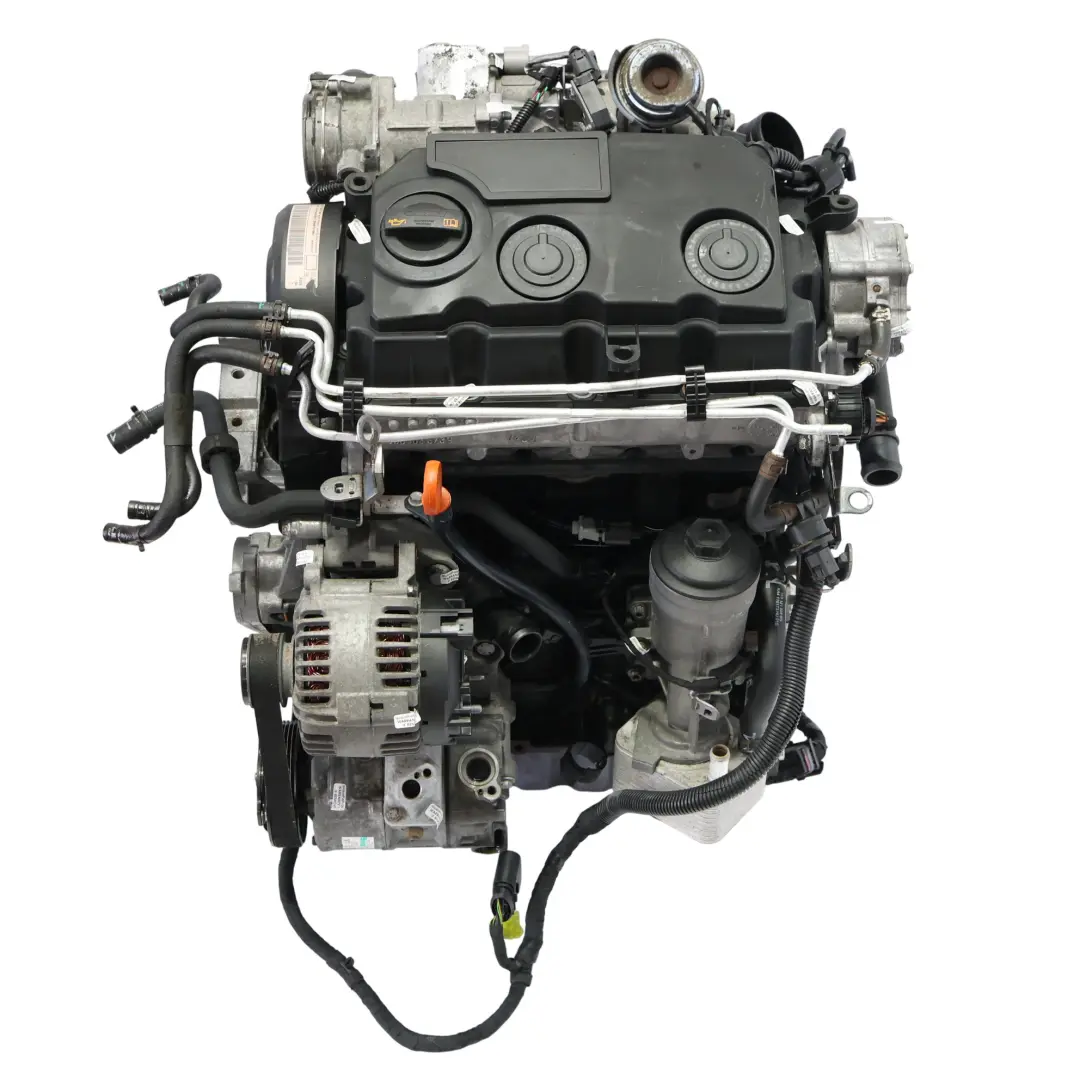 Mk5 Moteur Complet BMM 2.0 TDI 140CV 159 000km, GARANTIE pour Audi A3 8P VW Golf à propos du numéro de pièce 03G100035G Audi A3 8P VW Golf Mk5 Moteur Complet BMM 2.0 TDI 140CV 159 000km, GARANTIE - SKU 03G100035G-1 - Numéro de pièce 03G100035G