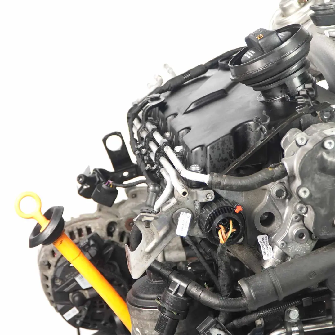VW Volkswagen Golf Plus 5 Touran 1.9 TDI 105HP Motore Completo BXE GARANZIA - SKU 03G100035M-1 - Numero di parte 03G100035M