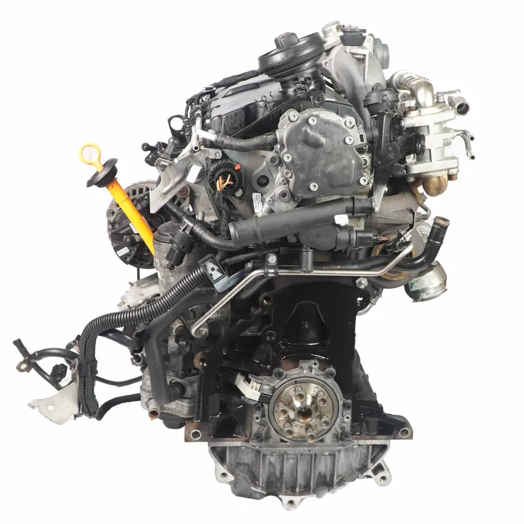 105PS Kompletter Motor BXE GARANTIE für VW Volkswagen Golf Plus 5 Touran 1.9 TDI mit Teilenummer 03G100035M VW Volkswagen Golf Plus 5 Touran 1.9 TDI 105PS Kompletter Motor BXE GARANTIE - SKU 03G100035M-1 - Teilenummer 03G100035M