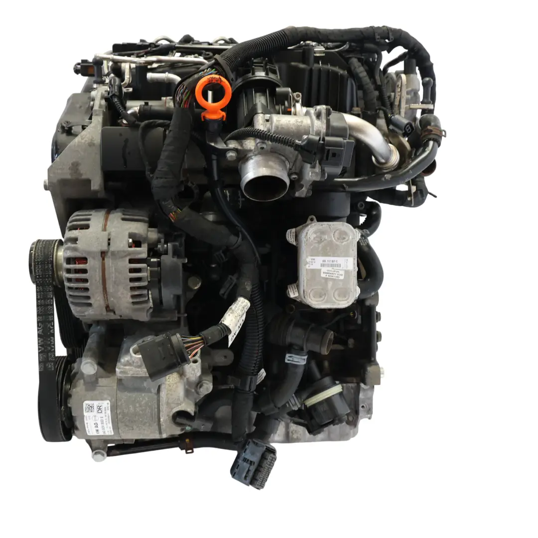 Mk4 Skoda Fabia Mk2 Bare Engine CAYA 1.6 TDI 75HP WARRANTY to VW Polo 6R Seat Ibiza with Part number 03L100031D VW Polo 6R Seat Ibiza Mk4 Skoda Fabia Mk2 Bare Engine CAYA 1.6 TDI 75HP WARRANTY - SKU 03L100031D - Part number 03L100031D