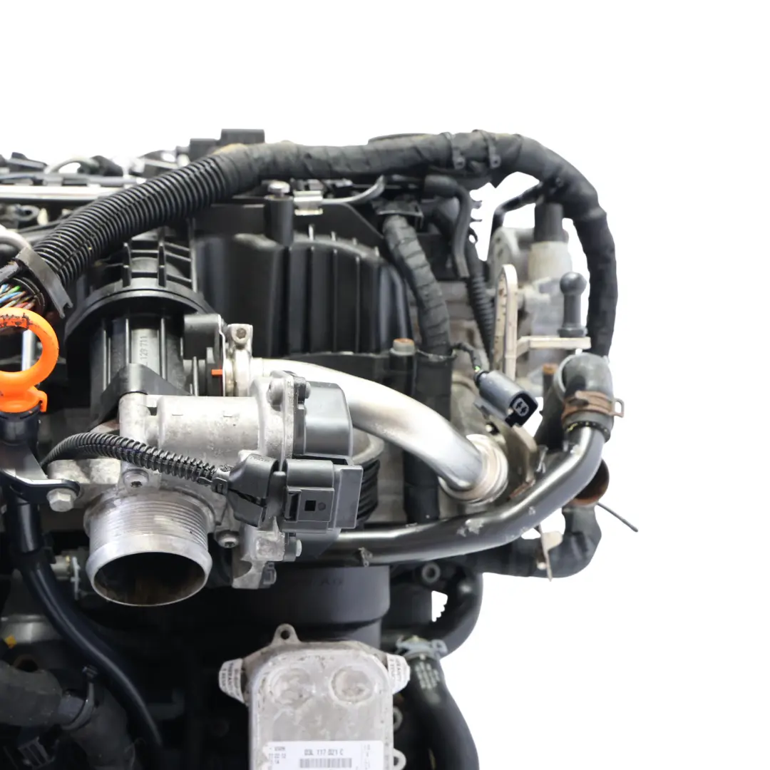 Mk4 Skoda Fabia Mk2 Bare Engine CAYA 1.6 TDI 75HP WARRANTY to VW Polo 6R Seat Ibiza with Part number 03L100031D VW Polo 6R Seat Ibiza Mk4 Skoda Fabia Mk2 Bare Engine CAYA 1.6 TDI 75HP WARRANTY - SKU 03L100031D - Part number 03L100031D