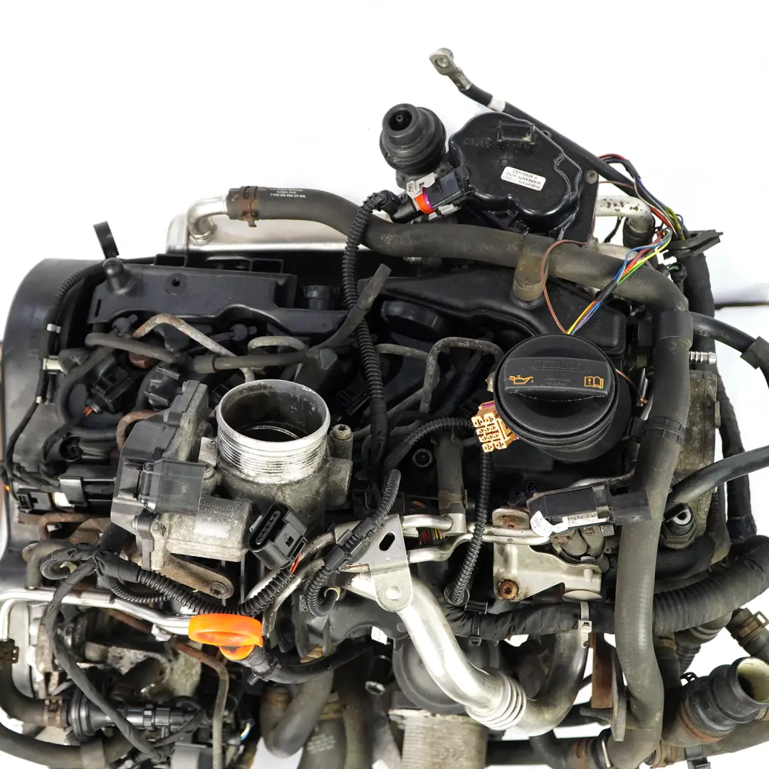 Unkomplett Motor CAAA GARANTIE VW Volkswagen Transporter Multivan T5 T6 2.0 TDI - SKU 03L100036S - Teilenummer 03L100036S