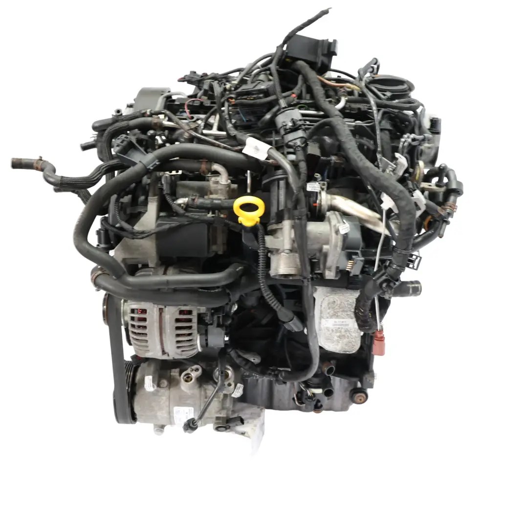 2K III IV Motore Nudo CAYE 1.6 TDI 75HP 159 000 km, GARANZIA per VW Volkswagen Caddy con numero di parte 03L100090P VW Volkswagen Caddy 2K III IV Motore Nudo CAYE 1.6 TDI 75HP 159 000 km, GARANZIA - SKU 03L100090P-2 - Numero di parte 03L100090P