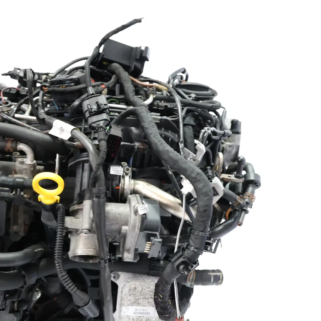 VW Volkswagen Caddy 2K III IV Bare Engine CAYE 1.6 TDI 75HP 99k miles, WARRANTY - SKU 03L100090P-2 - Part number 03L100090P