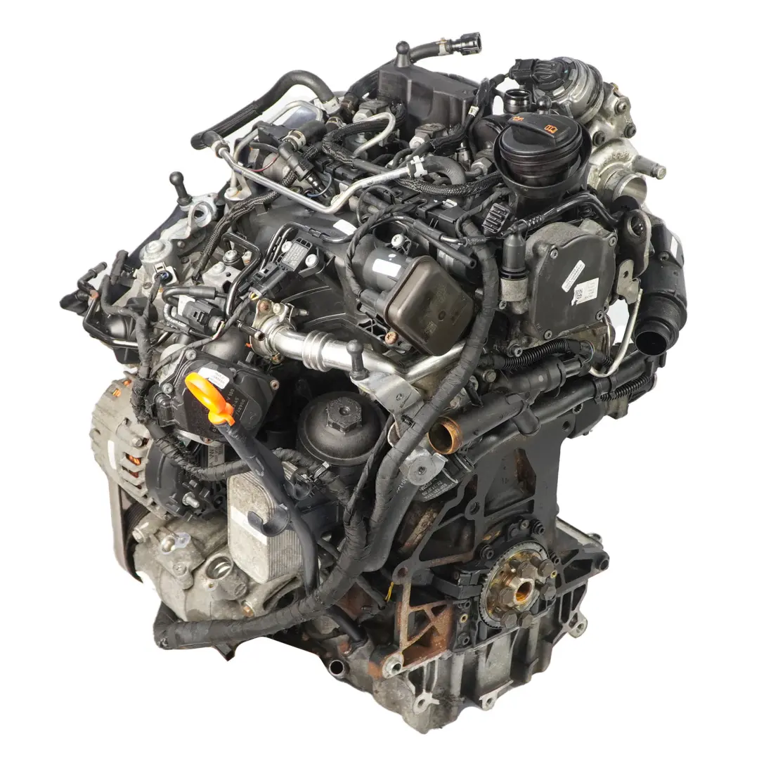 75CV Moteur Complet CFWA avec 159 000 km, GARANTIE Seat Ibiza IV 1.2 TDI - SKU 03P100031-1 - Numéro de pièce 03P100031