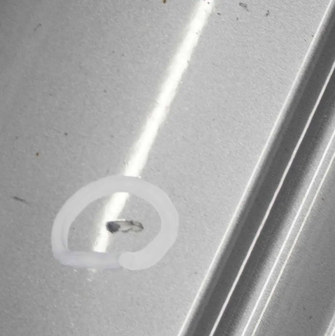 BMW X3 E83 M Sport Gonna Copriporta Destra Silbergrau Grigio Argento - A08 - SKU 0403482-SBG - Numero di parte 0403482