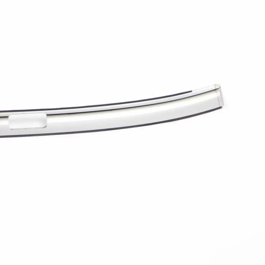  Roof Railing Moulding BMW X5 E70 Right O/S Trim Strip Titansilber Silver - 354 - SKU 0430332-TS - Part number 0430332