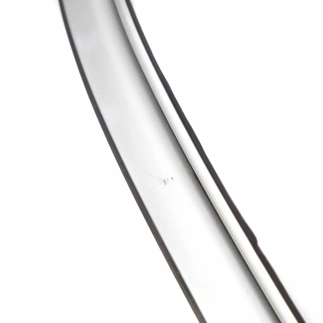 Barre Toit Gauche BMW X5 E70 Moulure Protection Argent Titane Métallisé - 354 - SKU 0430333-TS - Numéro de pièce 0430333
