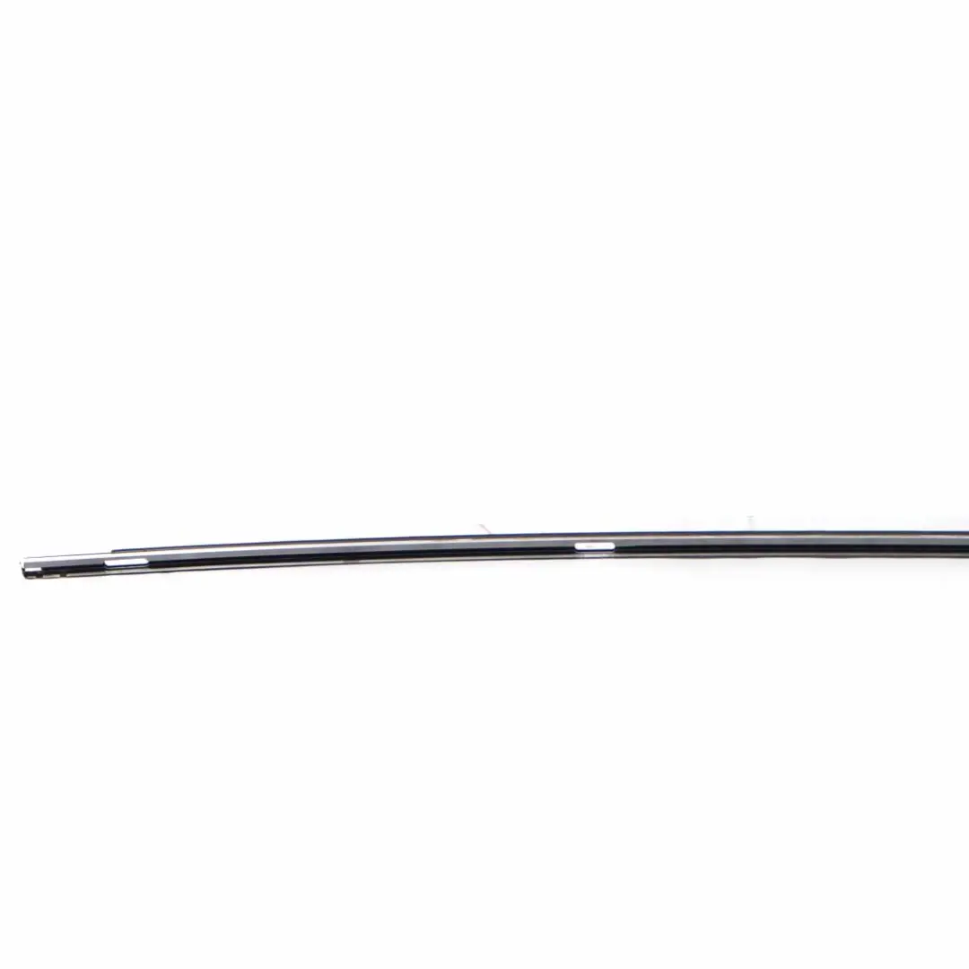  Barre Toit Gauche BMW X5 E70 Moulure Protection Argent Titane Métallisé - 354 - SKU 0430333-TS - Numéro de pièce 0430333