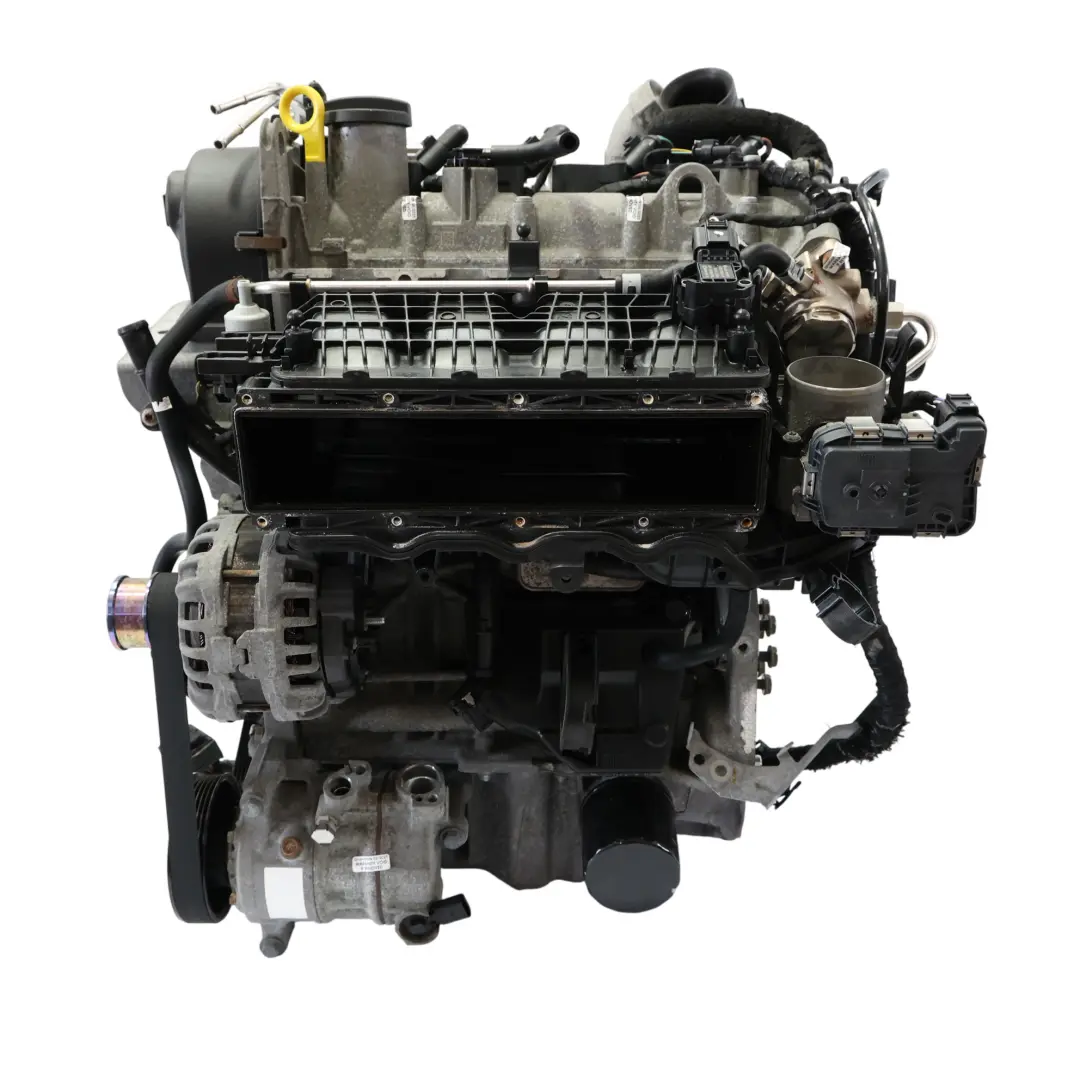 6J 1.2 TSI Kompletter Motor CJZD 110PS 95TKM, GARANTIE für VW Polo 6R V Seat Ibiza mit Teilenummer 04E100031B VW Polo 6R V Seat Ibiza 6J 1.2 TSI Kompletter Motor CJZD 110PS 95TKM, GARANTIE - SKU 04E100031B-3 - Teilenummer 04E100031B