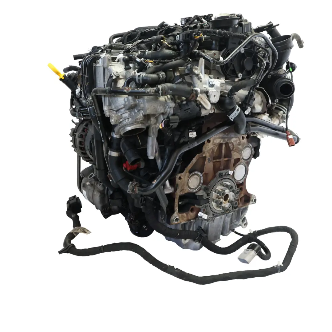 7N Kompletny Silnik DFLA 2.0 TDI 150HP do Seat Alhambra VW Sharan o numerze 04L100036M Seat Alhambra VW Sharan 7N Kompletny Silnik DFLA 2.0 TDI 150HP - SKU 04L100036M-3 - Numer Części 04L100036M