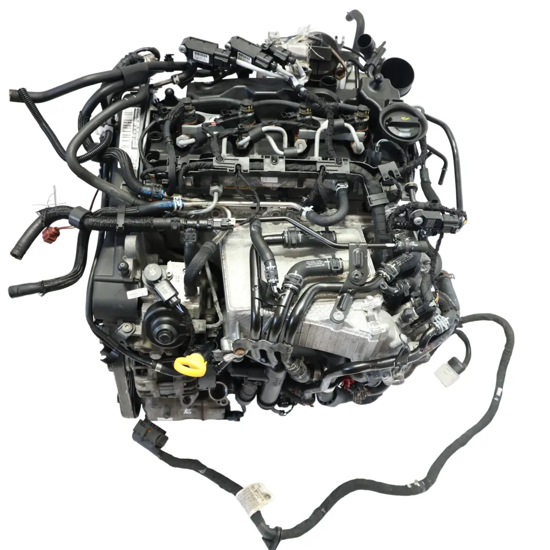 7N Kompletny Silnik DFLA 2.0 TDI 150HP do Seat Alhambra VW Sharan o numerze 04L100036M Seat Alhambra VW Sharan 7N Kompletny Silnik DFLA 2.0 TDI 150HP - SKU 04L100036M-3 - Numer Części 04L100036M