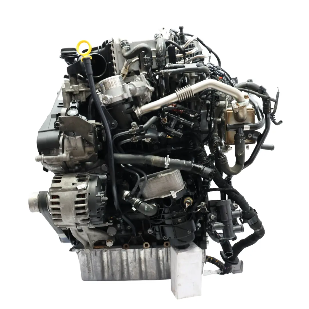 Moteur Nu DNAB 2.0 TDI 110CV 85k km GARANTIE pour Volkswagen Transporter Caravelle T6 à propos du numéro de pièce 04L100039C Volkswagen Transporter Caravelle T6 Moteur Nu DNAB 2.0 TDI 110CV 85k km GARANTIE - SKU 04L100039C - Numéro de pièce 04L100039C