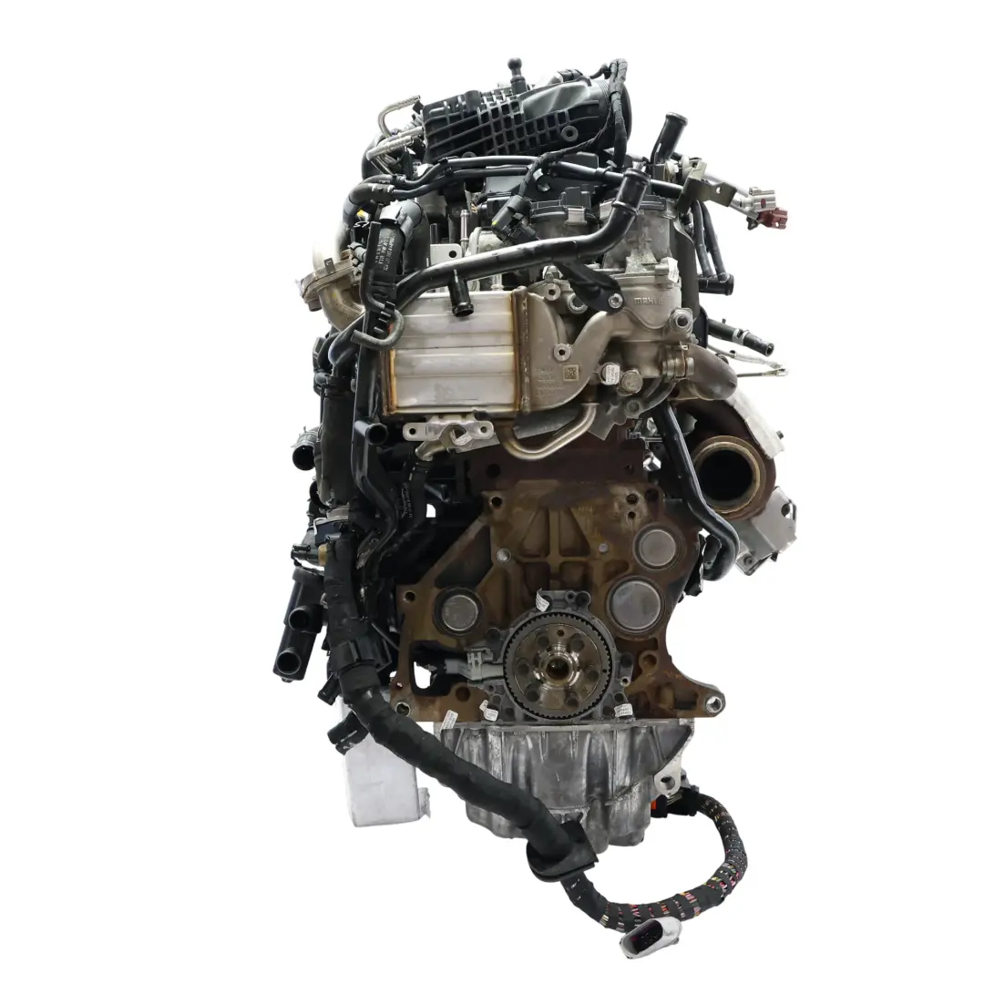 Motore Nudo DNAB 2.0 TDI 110HP 85k, GARANZIA per Volkswagen Transporter Caravelle T6 con numero di parte 04L100039C Volkswagen Transporter Caravelle T6 Motore Nudo DNAB 2.0 TDI 110HP 85k, GARANZIA - SKU 04L100039C - Numero di parte 04L100039C