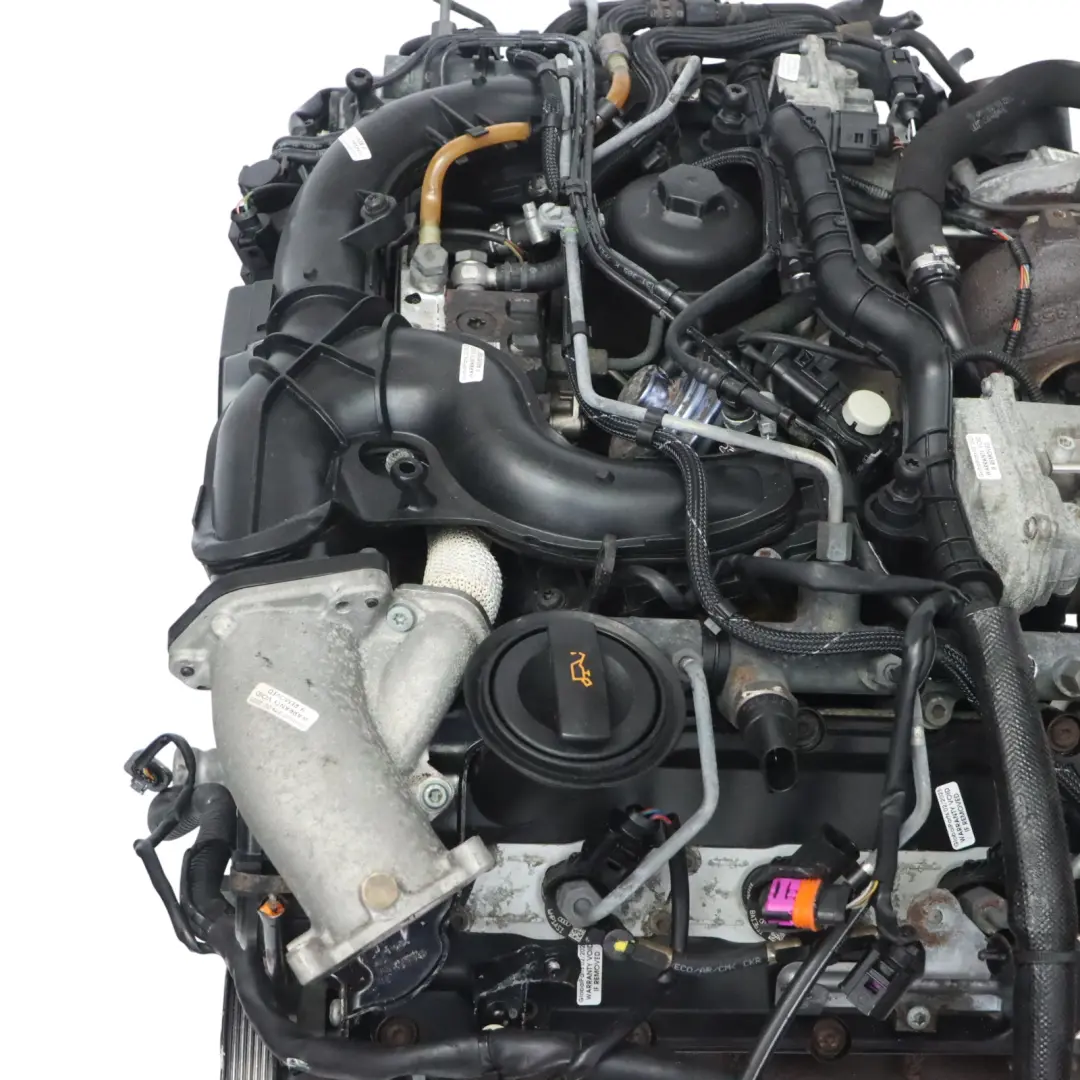 Moteur Complet BKN 204CV 159 000 km, GARANTIE Audi A4 B7 3.0 TDI Diesel Quattro - SKU 059100033D-1 - Numéro de pièce 059100033D