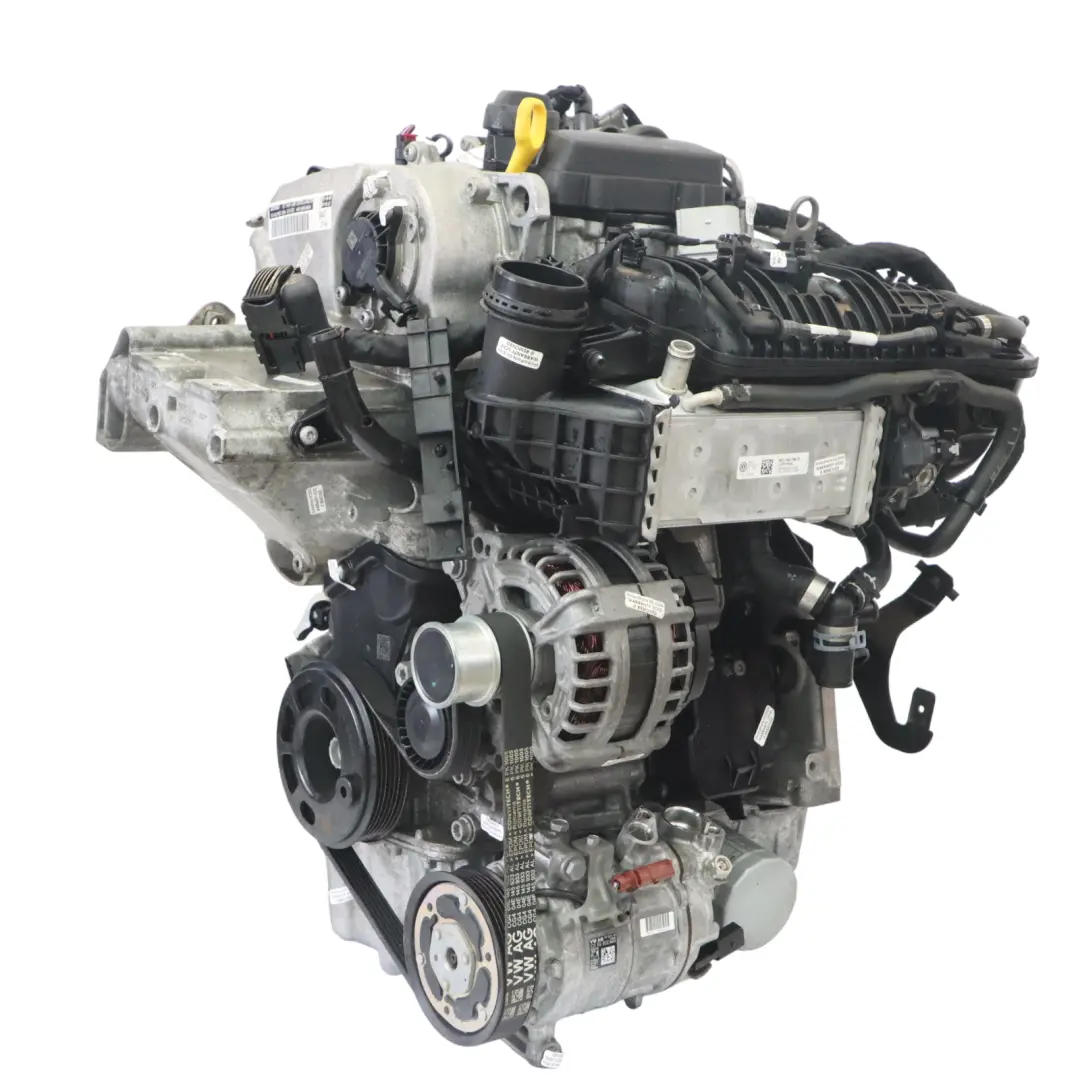 Kompletter Motor DLAA 110PS 19TKM, GARANTIE VW Volkswagen Golf 8 1.0 TSI - SKU 05C100031K-1 - Teilenummer 05C100031K