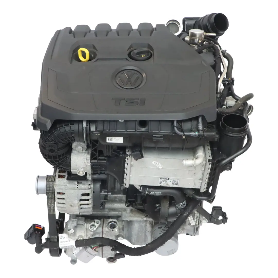 150HP Motor Desnudo DADA 39k, GARANTÍA para VW Golf Mk7 Passat B8 Audi A3 1.5 TSI con número de pieza 05E100031A VW Golf Mk7 Passat B8 Audi A3 1.5 TSI 150HP Motor Desnudo DADA 39k, GARANTÍA - SKU 05E100031A - Número de pieza 05E100031A