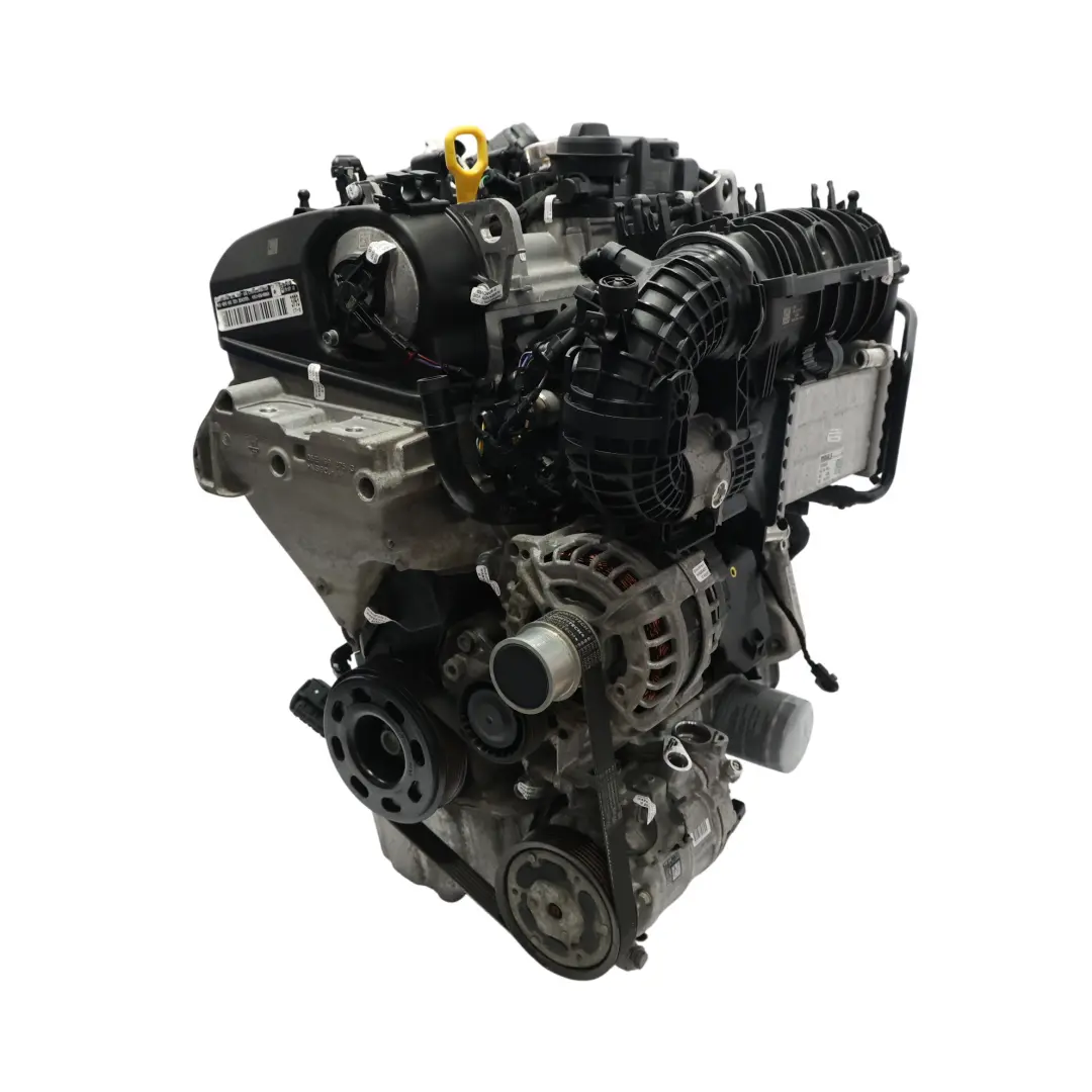 Kompletter Motor DPBE 1.5 TSI 131PS 69TKM, GARANTIE für Volkswagen Tiguan AX1 mit Teilenummer 05E100031T Volkswagen Tiguan AX1 Kompletter Motor DPBE 1.5 TSI 131PS 69TKM, GARANTIE - SKU 05E100031T-1 - Teilenummer 05E100031T