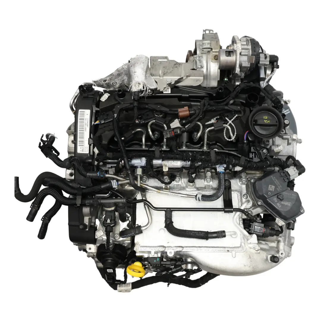 Mk8 Silnik Kompletny 2.0 TDI DTRB 116KM do Skoda Karoq Audi Q2 VW Golf o numerze 05L100032B Skoda Karoq Audi Q2 VW Golf Mk8 Silnik Kompletny 2.0 TDI DTRB 116KM - SKU 05L100032B-1 - Numer Części 05L100032B