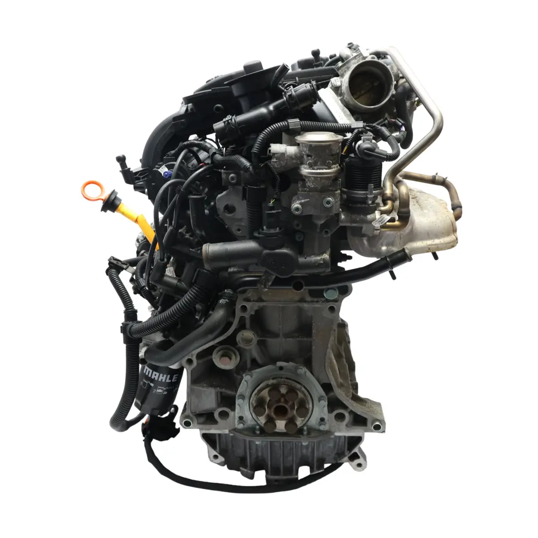 Volkswagen Golf MK5 Audi A3 8P Motor Desnudo BGU 1.6 102HP 159k km, GARANTÍA - SKU 06A100098EX - Número de pieza 06A100098EX