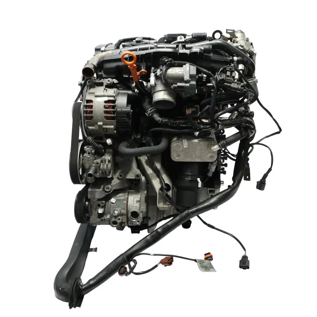 Audi A4 B7 Motor Desnudo BUL 2.0 TFSI 220HP 159 000 km, GARANTÍA - SKU 06D100032E - Número de pieza 06D100032E