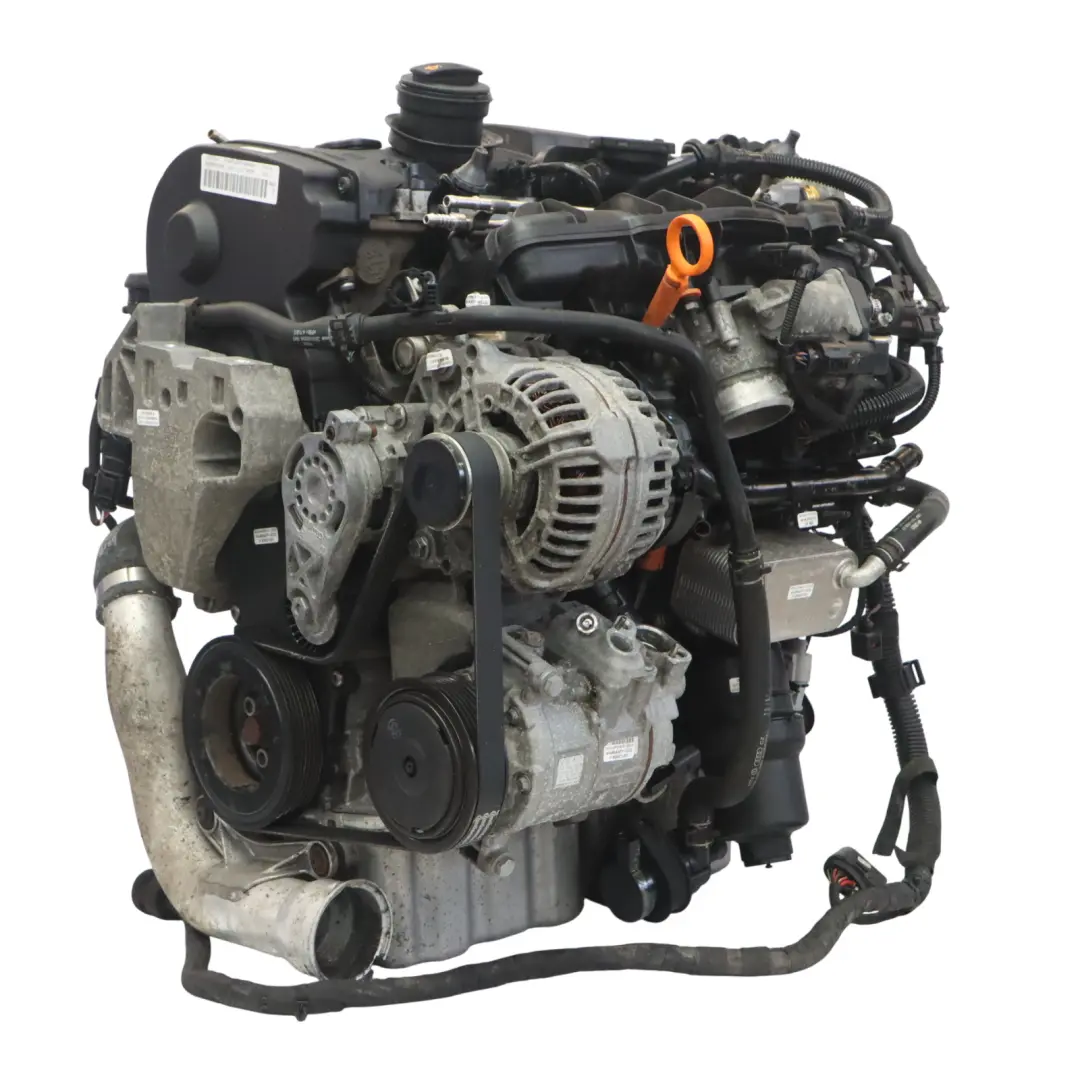 VW Golf 5 Audi A3 8P Seat Leon 1P 2.0 TFSI Kompletter Motor BWA 125TKM, GARANTIE - SKU 06F100033G-1 - Teilenummer 06F100033G